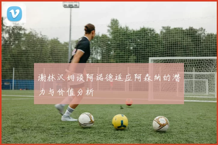 谢林汉姆谈阿诺德适应阿森纳的潜力与价值分析